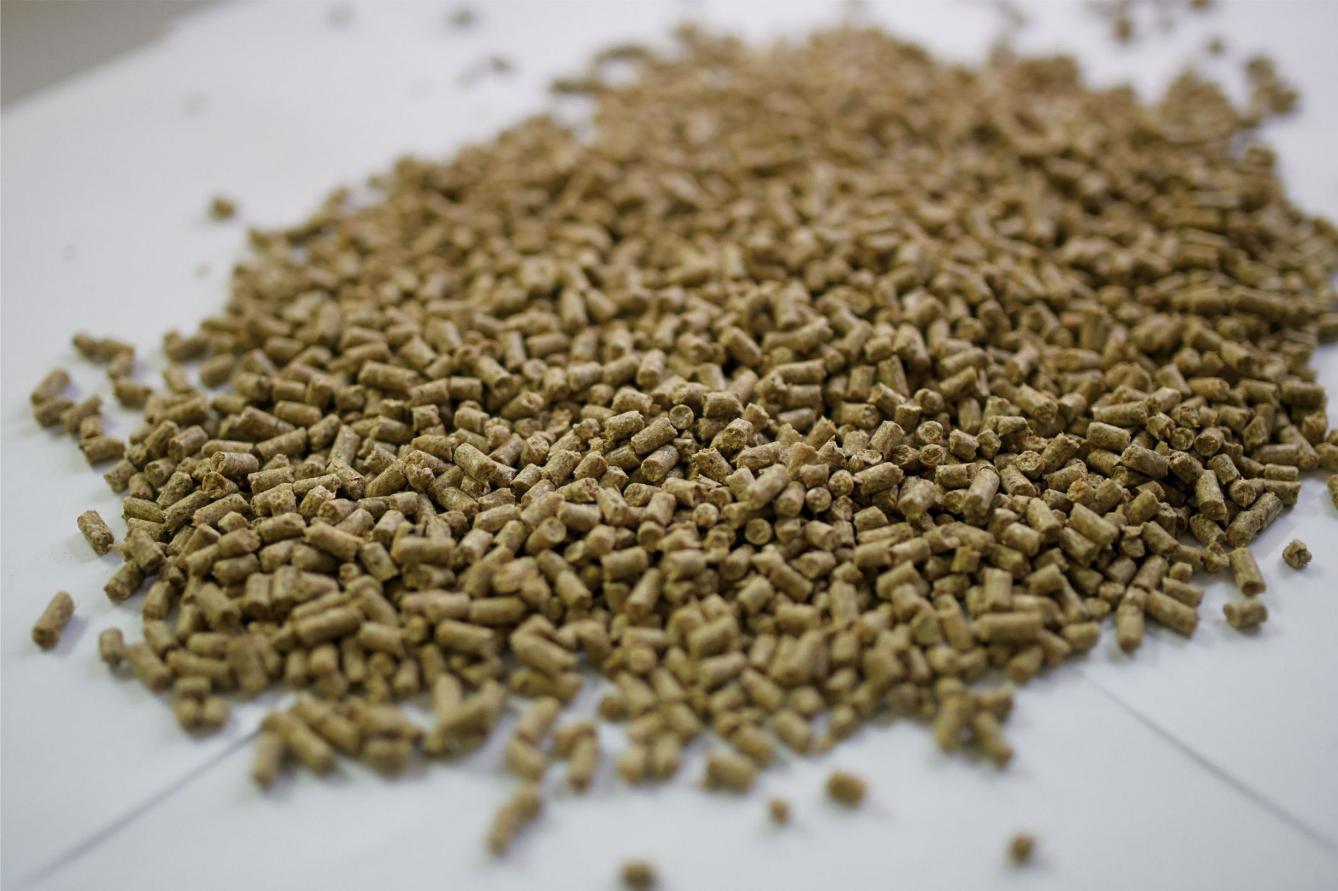 престартер